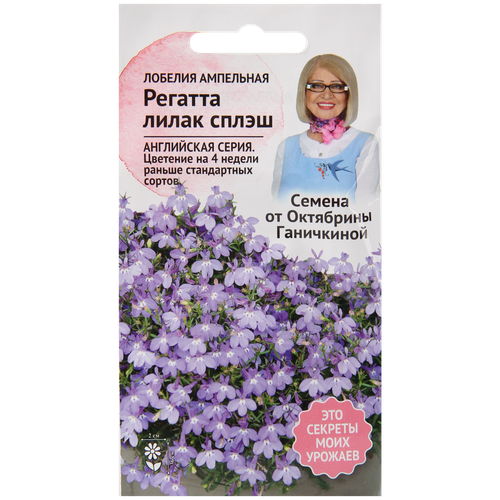 ������ ������ ������� ������� ����� ����� 10 �� / ������ ���������� ������ ����