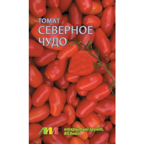 ������ ������ ������ ����� �������� ���� ������� ����