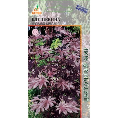 ������ ������ ������ ��������� ������� ������� 4�� �� (�����) ����