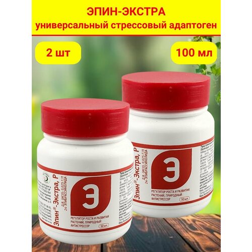 ������ ������ ����-������ ��������� ����� � �������� ��������, ��������� ������������, 50 ��, 2 ��. ����