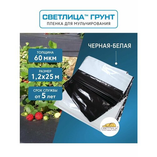 ������ ������ ������ ��� ������������� �������� ����� 1,2x25 �, 60 ���, �������� �������� ����