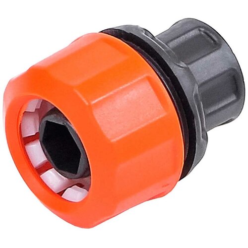 ������ ������ ����� �������� ��� 3/4