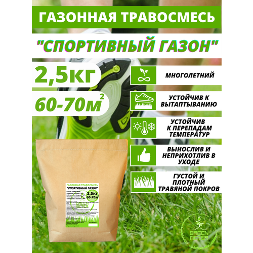 ������ ������ �������� ����� ������, ����� ������ 2,5 �� ����