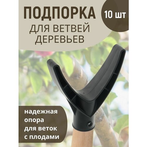 ������ ������ ����������� ���������� �������� ��� �������� ������, 10 �� ����