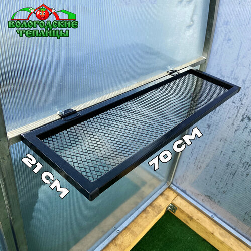 ������ ������ ����� ��� ������� �������� 