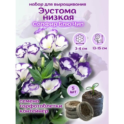 ������ ������ ������ ������� ������ ������ ��� ��� + �������� �������� Jiffy, 5��, ����� ��� ����������� ����