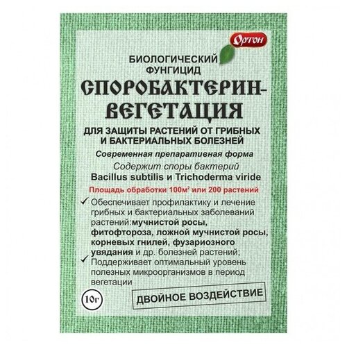 ������ ������ �������������-���������, 10 � ����