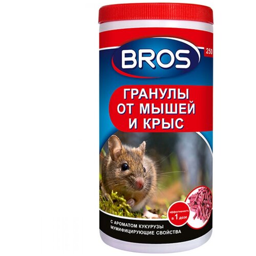 ������ ������ BROS ������� �� ����� � ���� Bros, 250 �� ����