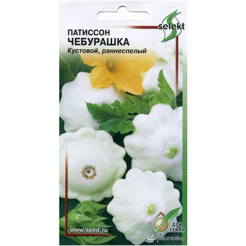 ������ ������ �������� ���������, 23 ����� ����