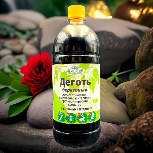 ������ ������ ������ 1� / 1��. �� ���������� � ��������. ��� ����