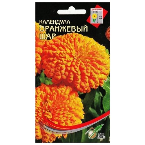 ������ ������ ��������� ��������� ���, 20 ����� ����