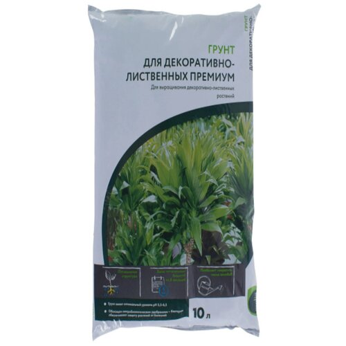 ������ ������ ����� Geolia ��� �����������-���������� 10 � ����