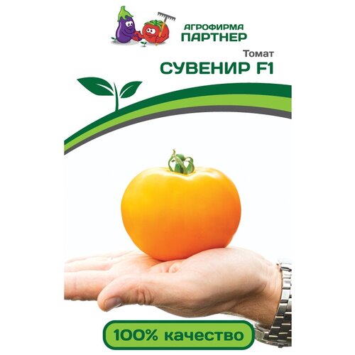 ������ ������ ������ ����� ������� ������� F1 10 ����� ����