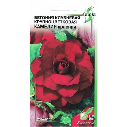 ������ ������ ������ ��� ����� ������� ���������� 