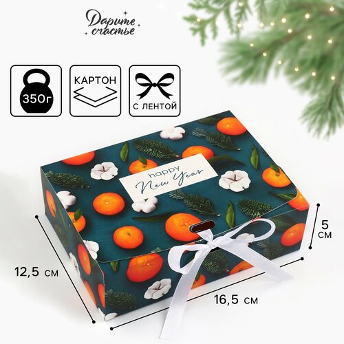 ������ ������ ������� ���������� �������, 16.5 � 12.5 � 5 ��, ����� ��� ����