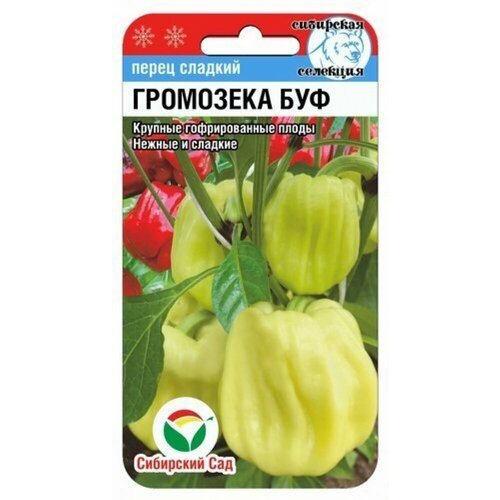 ������ ������ ������ ����� ��������� ��� 15�� ������ (��������� ���) ����