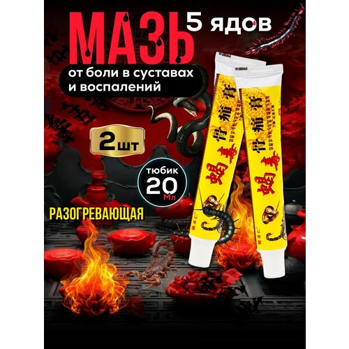 ������ ������ ��������� ���� ��� �������� �� ���� GUTONG GAO 2�� ����