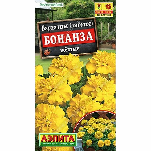 ������ ������ ������ �������� ������� ������ ����������, (������) 7�� PanAmerican ����