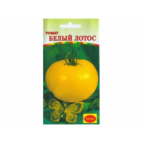 ������ ������ ������ ����� ����� (����� �����) 10�� ����� ������ (�����) ����