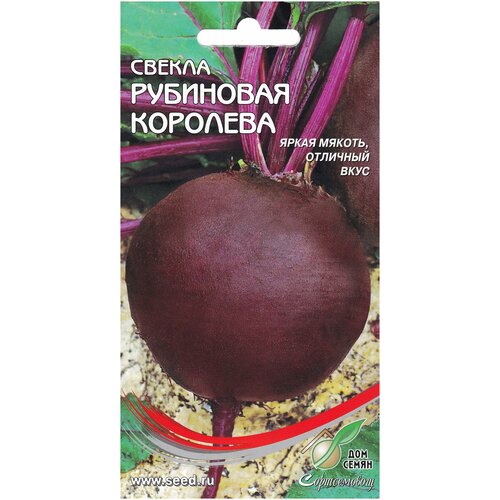 ������ ������ ������ ��� ����� ������ ��������� ��������, 110 �� ����