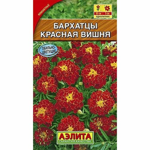 ������ ������ ������ �������� ������� ����� ����������, (������) 0,3� ����