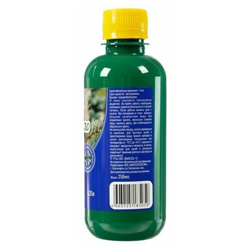 ������ ������ ������� ���� � �������� ����������, 