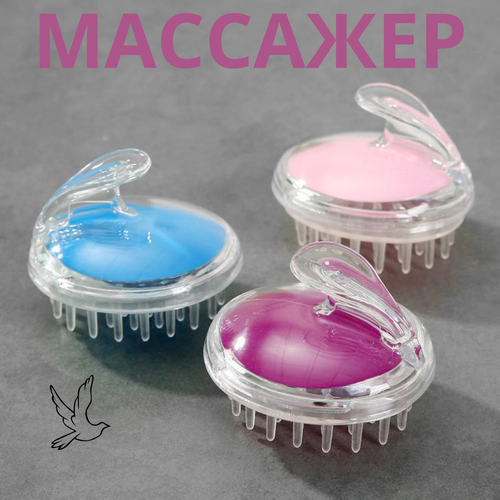 ������ ������ ������������ �������� ��� ����� ������ ����