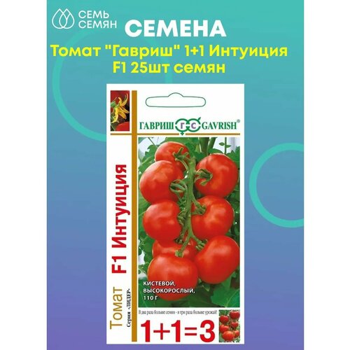 ������ ������ ����� 