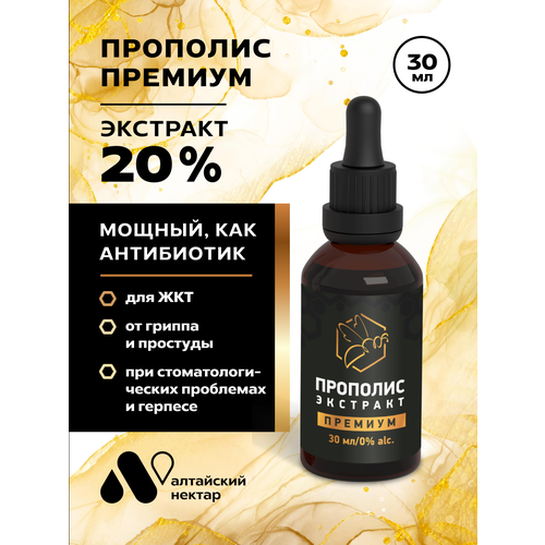 ������ ������ �������� ��������� ������ ����������������������� ����