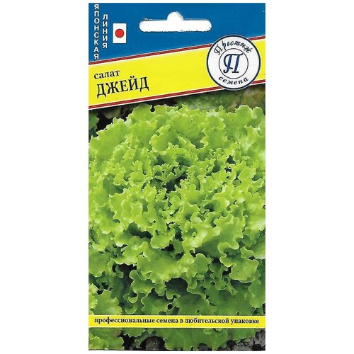 ������ ������ ����� �����. ������. ����� ������ ��������� � ���������� ����-������� ������, ���������� �������, ��������������� ������, �������� ������ ����