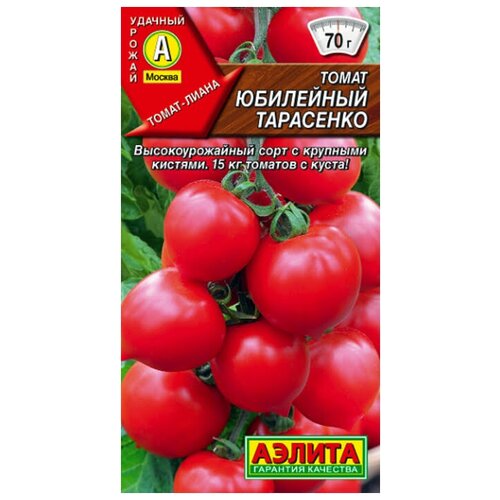 ������ ������ ����� ��������� ��������� (20��) - ������ ������ ����