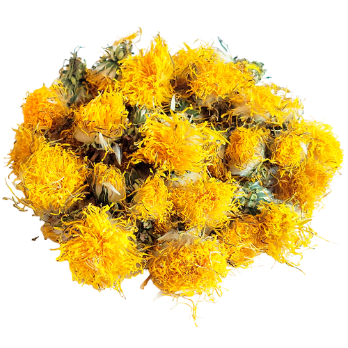 ������ ������ ���������, ����� 20�. ����