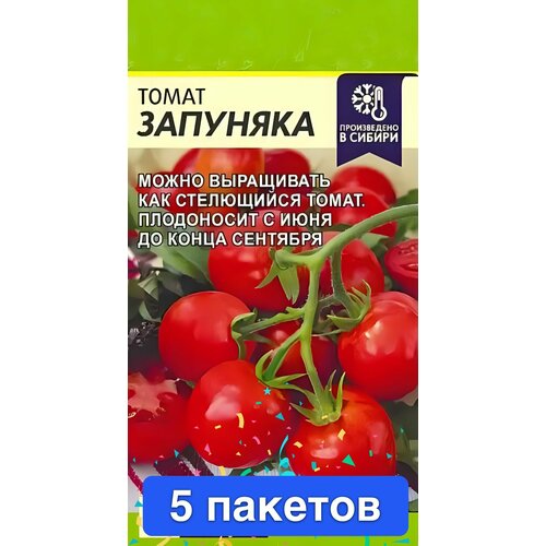 ������ ������ ������ ������ ������ ����� 