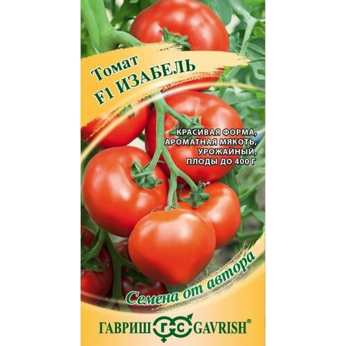 ������ ������ ������ ����� ������� F1 5�� ��� ������ (������) ����� �24 ����