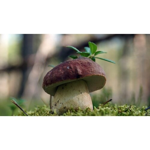 ������ ������ ������� ����� ������� ����