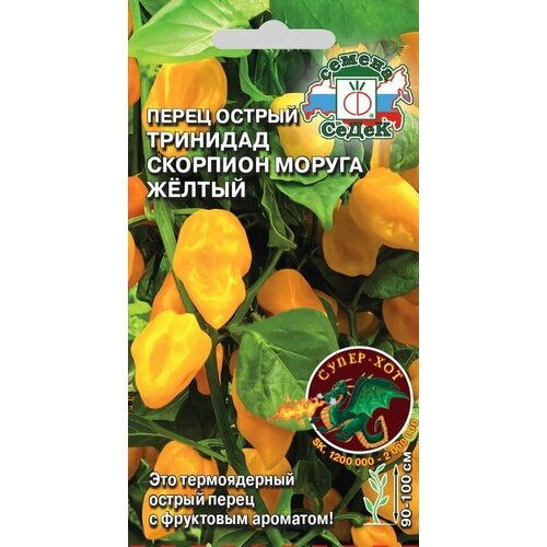 ������ ������ ����� ������ �������� �������� ������ ������ , ������ ����