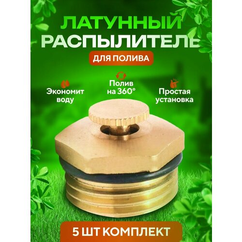 ������ ������ ����������� �������� 5 ��. ����