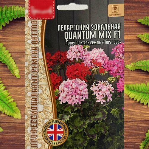 ������ ������ ������ ������ ��� ���� � ���� ���������� ��������� Quantum Mix F1 ����