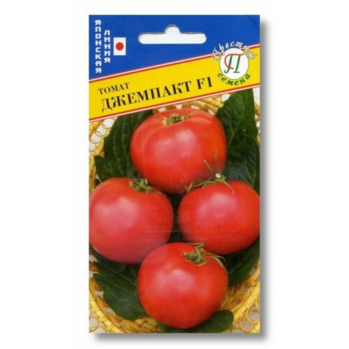 ������ ������ ������ ����� �������� F1 10�� ��� (�������) ����