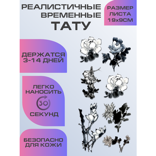 ������ ������ ���� ���������� ��������������, ��������� ���� ����