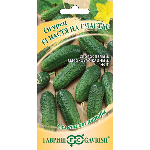 ������ ������ ������ ������ �����-��-������� F1 �������� 10�� ������������������ ������ (������) ����� ����