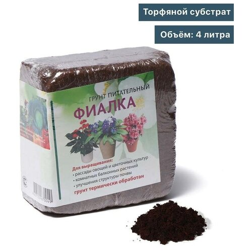 ������ ������ �������� �������� � �����, 4 �, ������ ����