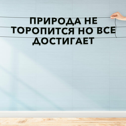 ������ ������ �������� �������� �� �����, ������ �������� �� ����� - �������� �� ���������, �� ��� ���������, �������� ���������. ����