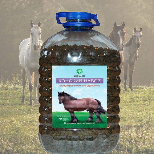 ������ ������ ����� ������� ����� � �������� � ���������� � �������������� �������, 5�. ����