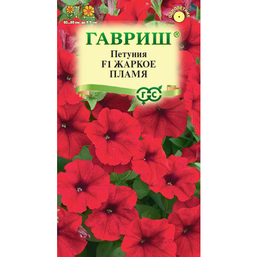 ������ ������ ������ ������� ������ ����� �������������� 7�� ��� 35�� (������) ������� ������ ����