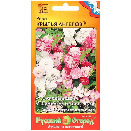 ������ ������ ������ ������ ���� 