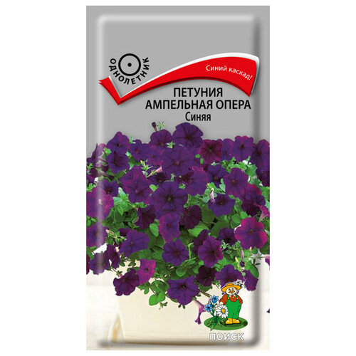 ������ ������ ������ ������� ����� ��������� ����� ����� 2 � 5 �� ����