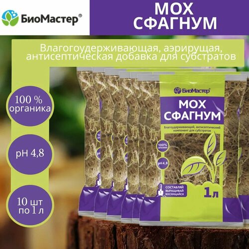 ������ ������ �������� ��� �������,10 ������� �� 1 � ����