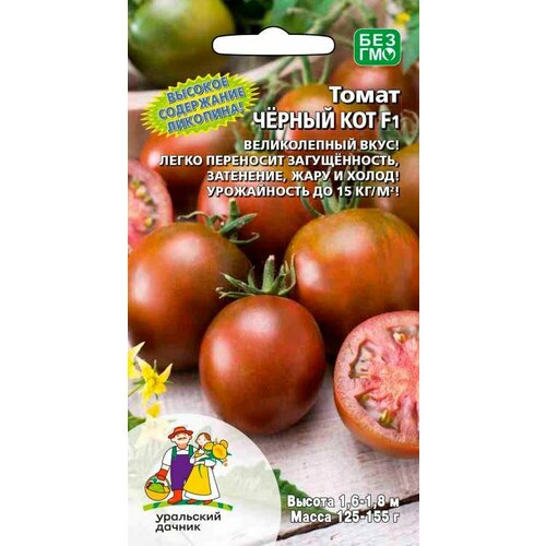 ������ ������ ������ ����� ������ ��� F1 12�� ����� ������ (��������� ������) ����