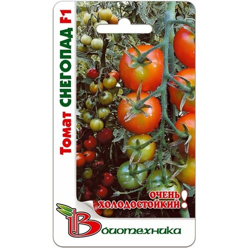 ������ ������ ������ ����� �������� F1 15�� ����� (����������) ����